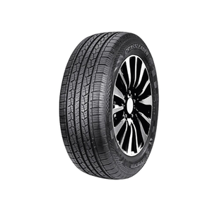 Llanta 235/60R16 4PR DS01 Doublestar